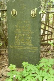 Малисов Наум Львович, Москва, Востряковское кладбище